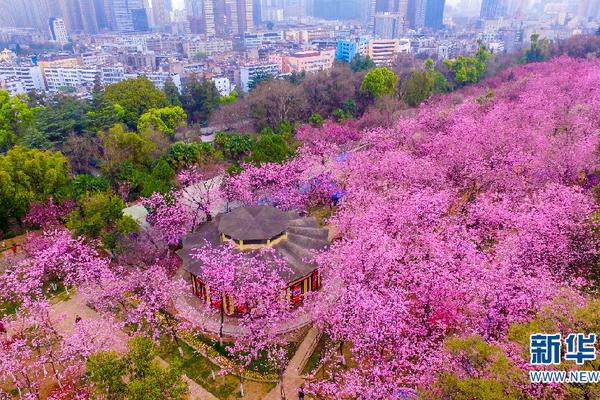 药学本科毕业就是卖药的？听老师和同学讲讲药学是否值得